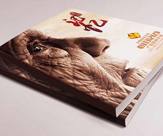 往日记忆 客户名称：陕西