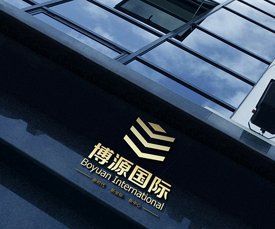 博源国际