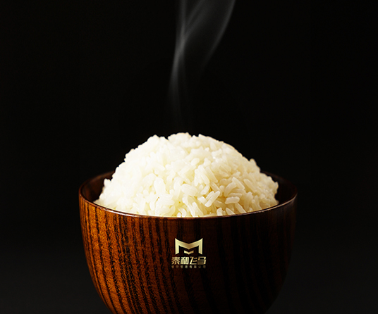 泰和飞马餐饮项目